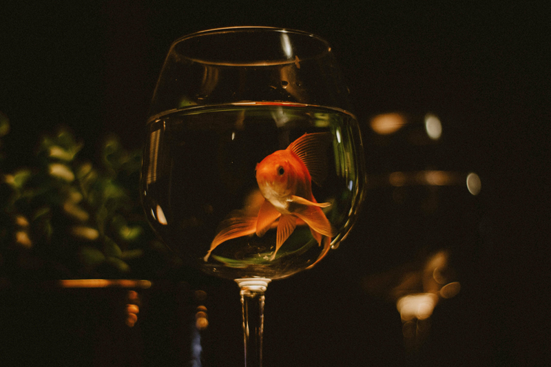 Suicide is a complex issue shaped by many factors, including financial stress, relationship struggles, job loss, and mental health conditions. Nonetheless, one truth stands out clearly from both research and lived experience, crises pass, even when they feel endless.